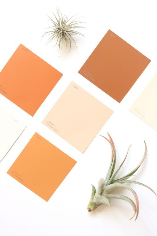 paleta de color