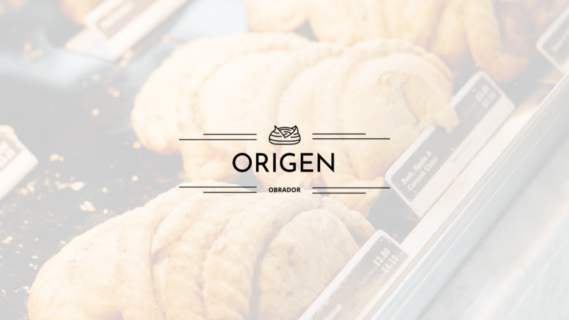 diseño-web-origen-pa