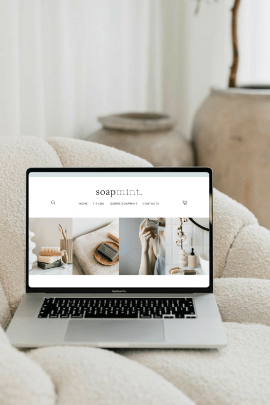 web-prediseñada-mint