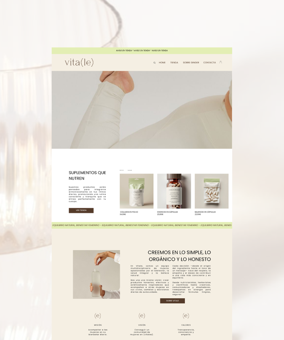 ginger-web-ecommerce